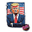 SLE Custom's Donald Trump Decal
