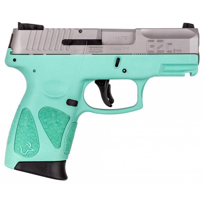 Taurus G2C Cyan and Stainless 9mm