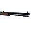 Henry Repeating Arms Pump 22 mag H003TM