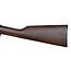 Henry Repeating Arms Pump 22 mag H003TM