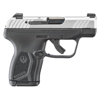 Ruger Ruger LCP Max stainless 380acp