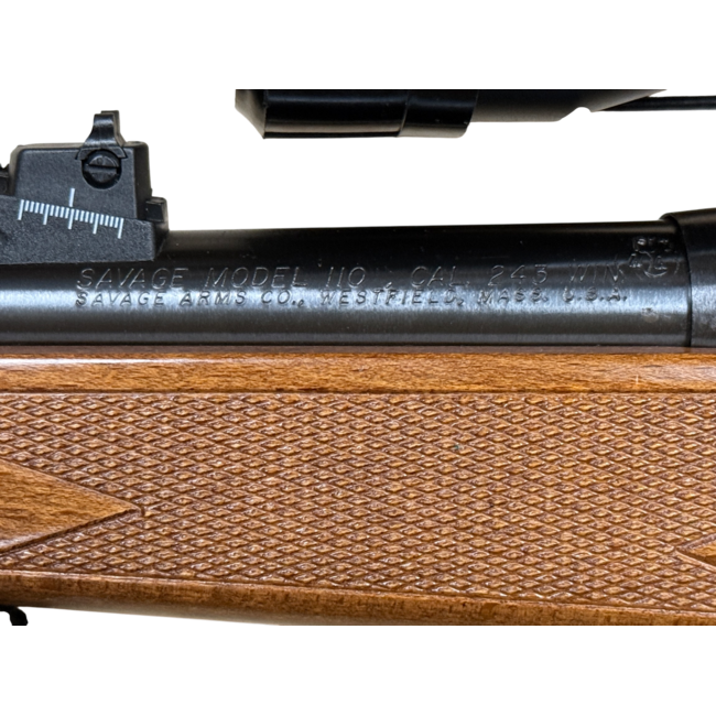 Savage Arms 110 classic 243 win