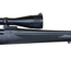 Remington Remington 700 .270 Rifle w/ Bushnell Scope