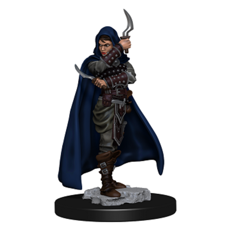 Deep Cuts Pathfinder Battles Premium Minis - Human Female Rogue