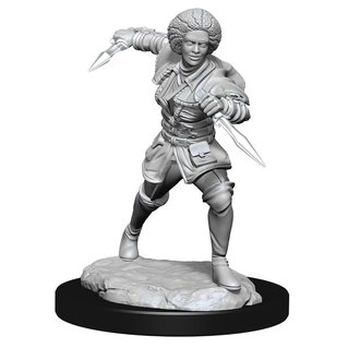 D&D - Magic Miniatures - Unpainted - Kaya*