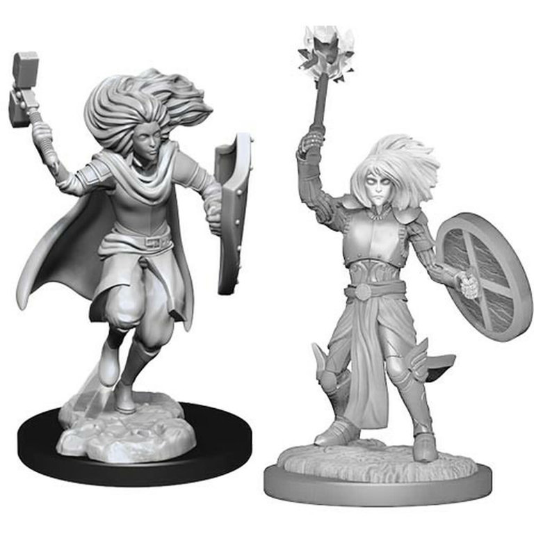 Nolzur's Marvelous Unpainted Miniatures - Changeling Cleric