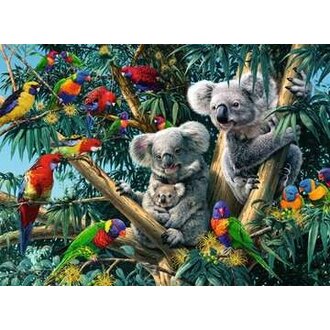 Ravensburger Koala dans l'arbre - 500 pièces