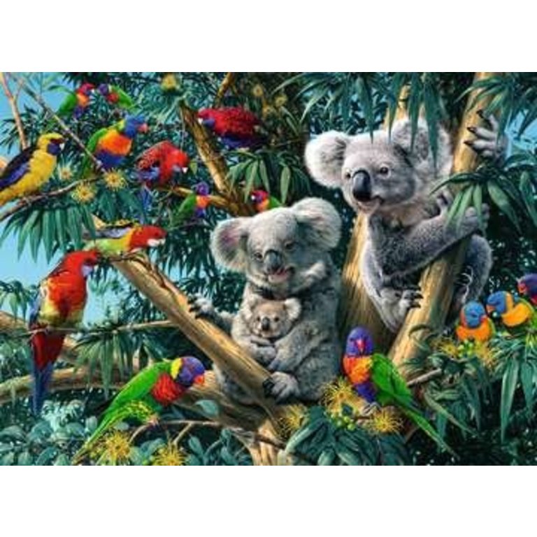 Ravensburger Koala dans l'arbre - 500 pièces