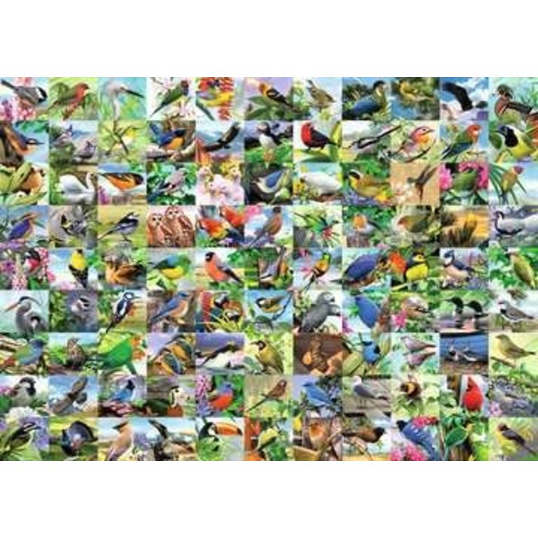 Ravensburger 99 Splendides oiseaux - 300 pièces Large