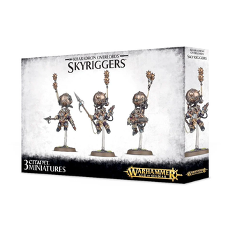 Skywardens Skywardens