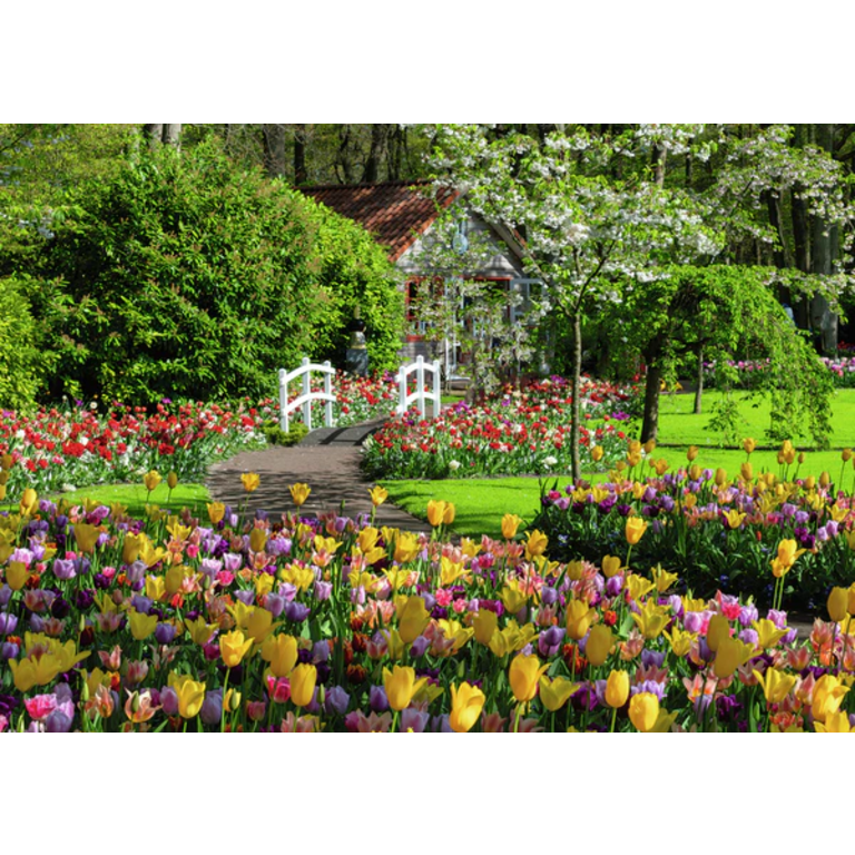 Keukenhof Gardens, Netherlands - 1000 pièces