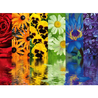 Ravensburger Reflets floraux - 500 pieces