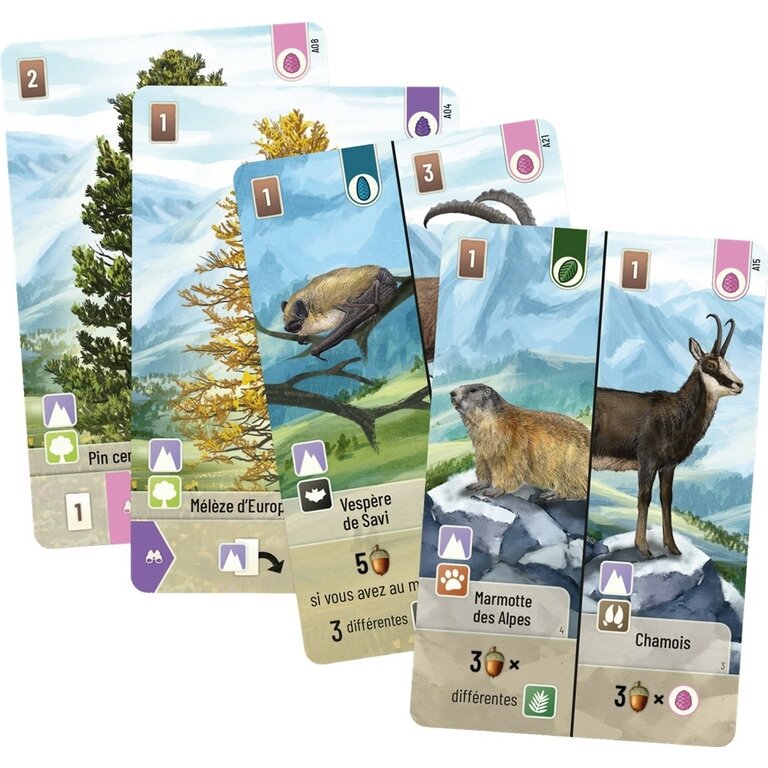Forêt mixte - Alpes (Français)