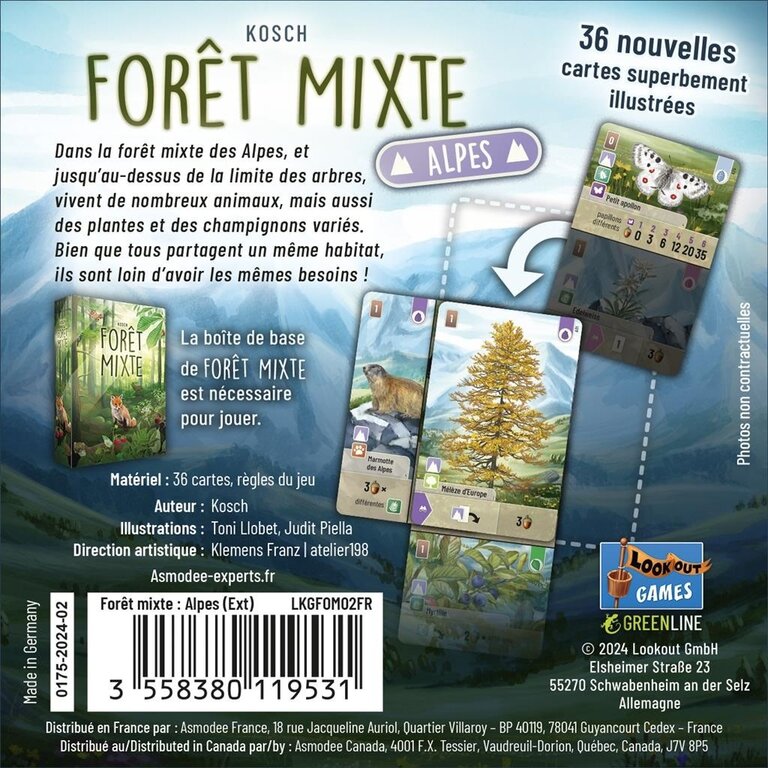 Forêt mixte - Alpes (French)