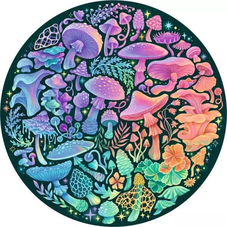 Ravensburger Circle of Colors - Mushrooms - 500 pièces