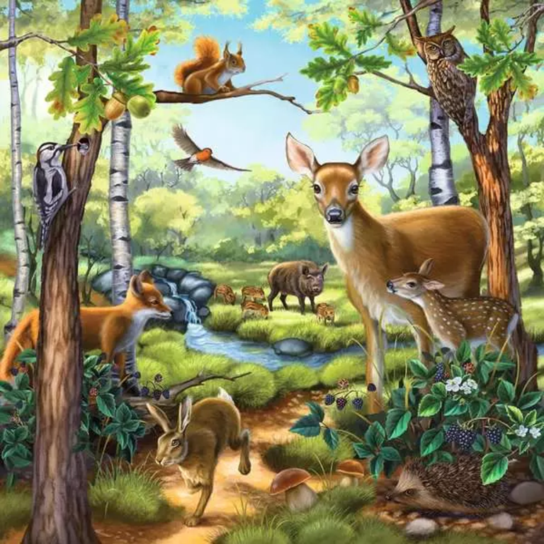 Ravensburger Animaux de la forêt, du zoo et domestiques - 3x49 pièces
