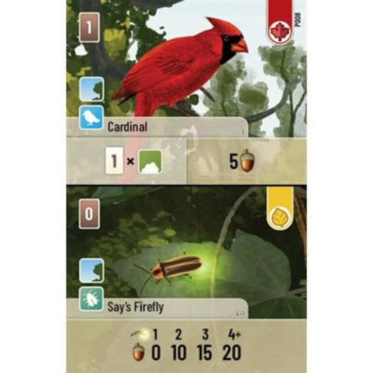 Forest Shuffle - Exploration (Anglais)