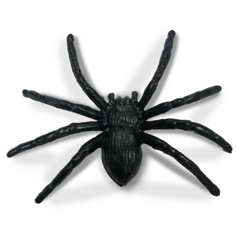 Willibed - 10 farces & attrapes