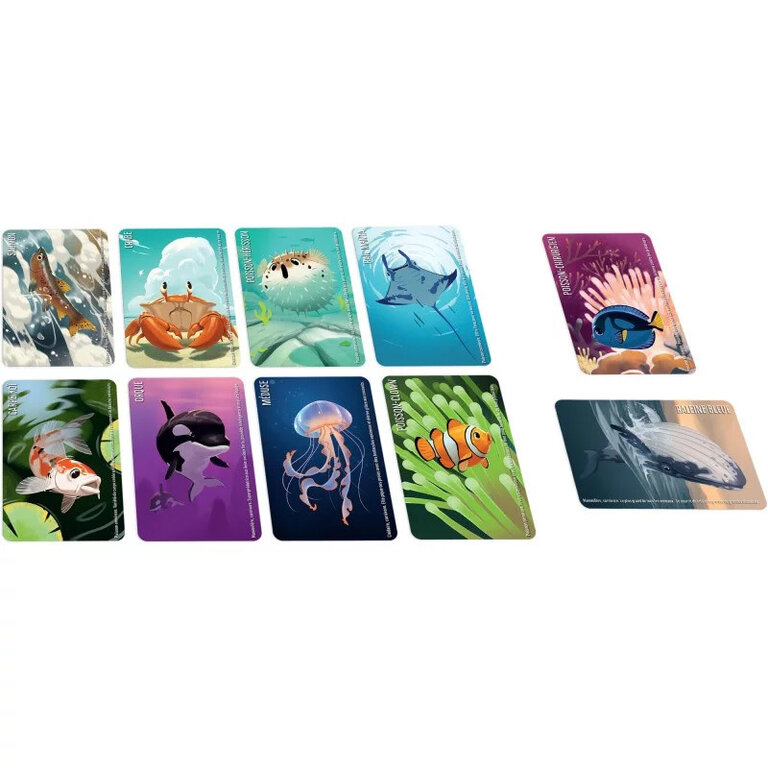 Similo - Animaux aquatiques (Français) [PRÉCOMMANDE]