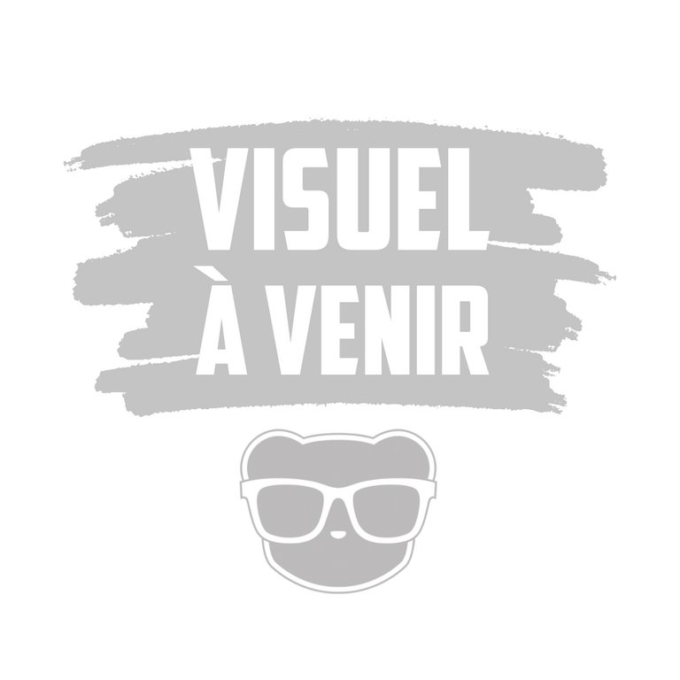 Mini Rogue 2 - Trône Étincellant (Français) [PRÉCOMMANDE]