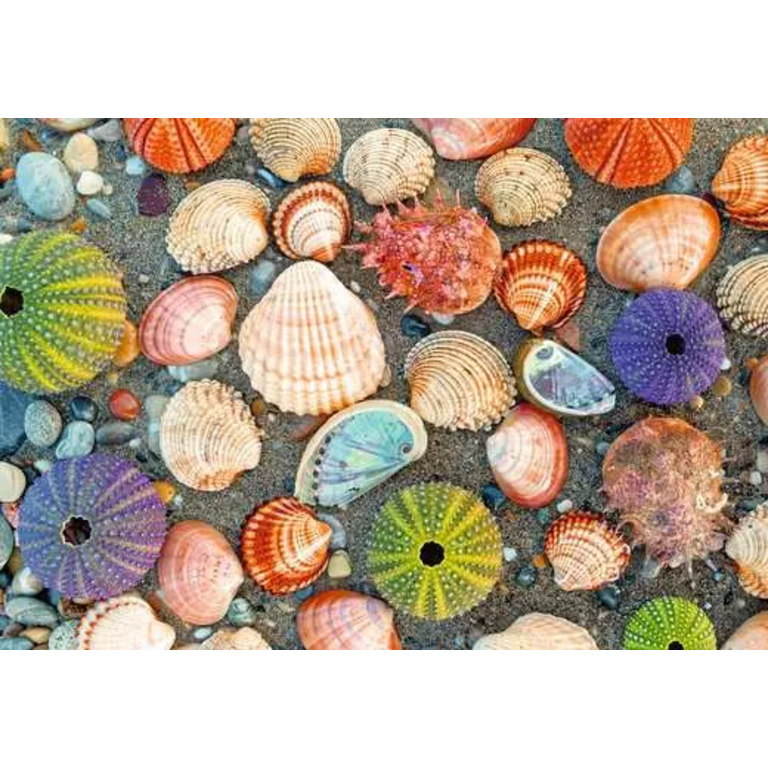 Ravensburger Moments - By the Seashore - 300 pièces