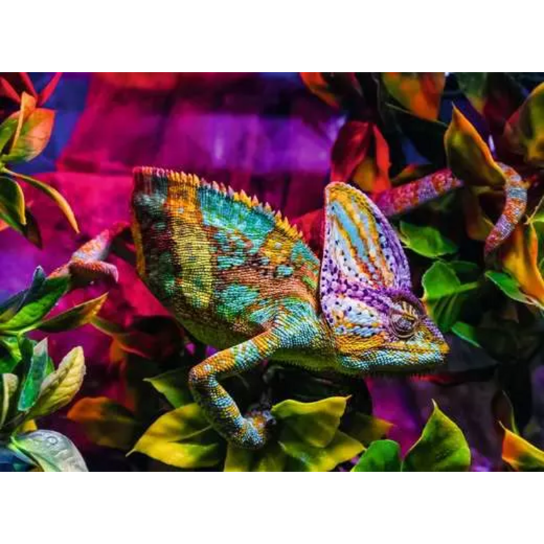 Ravensburger Caméléon - 500 pièces