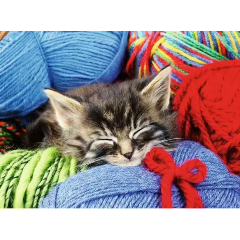 Ravensburger Bien être - Chaton laine - 100 pièces XL