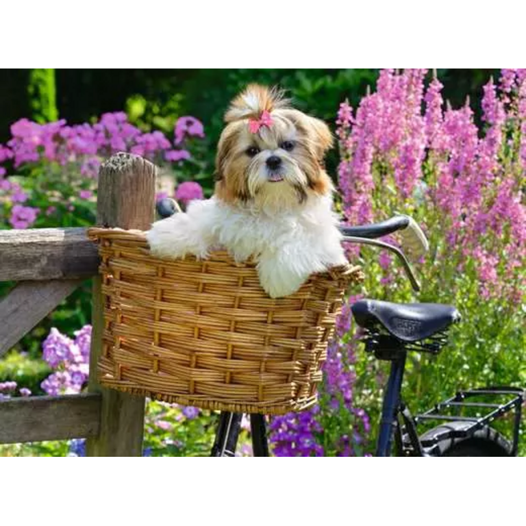 Ravensburger Sweet Little Dog - 100 pièces XL