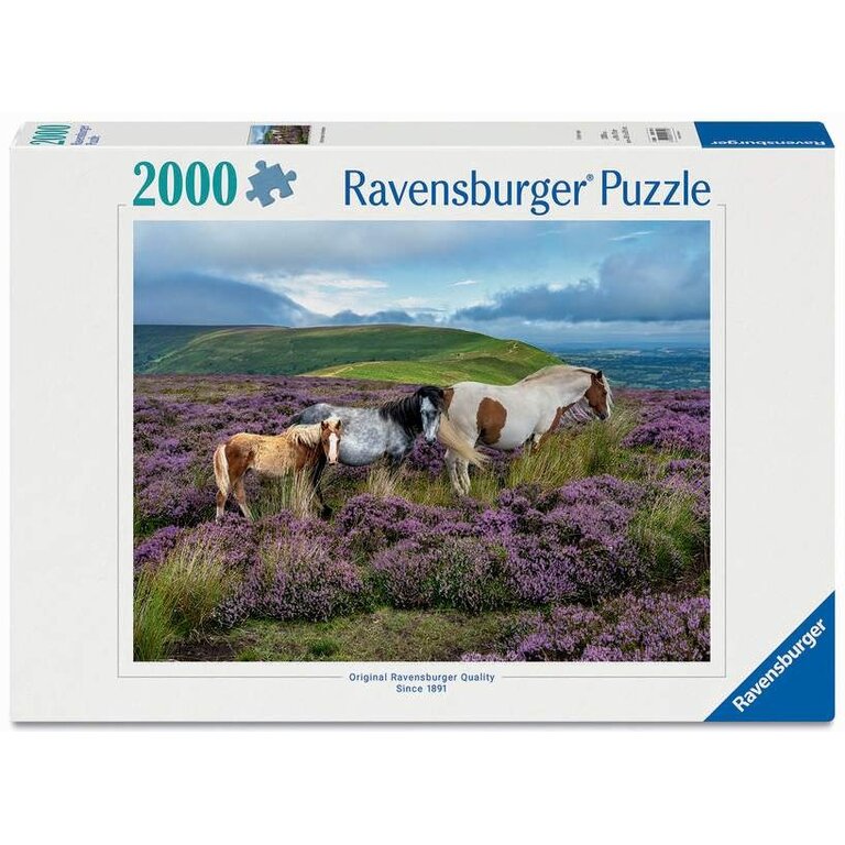 Ravensburger Wild Horses in Heather - 2000 pièces