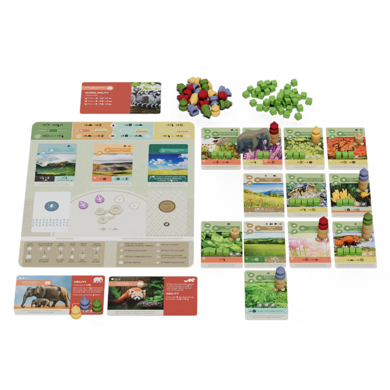 Earth - Animal Kingdom (Anglais)