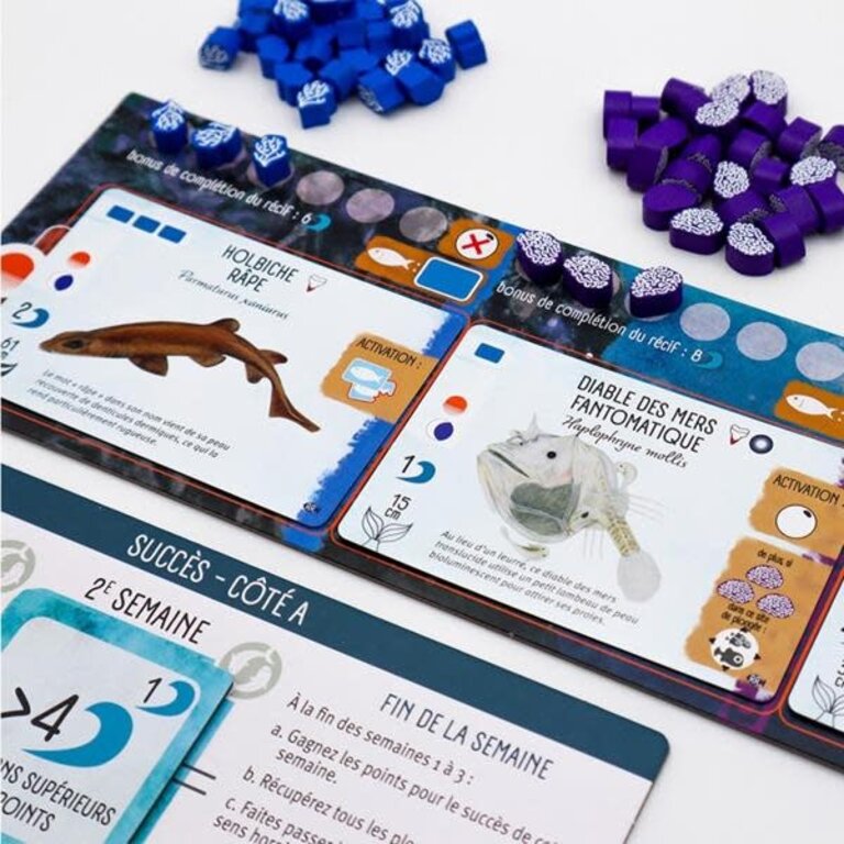 Finspan - Requins et récifs (French)