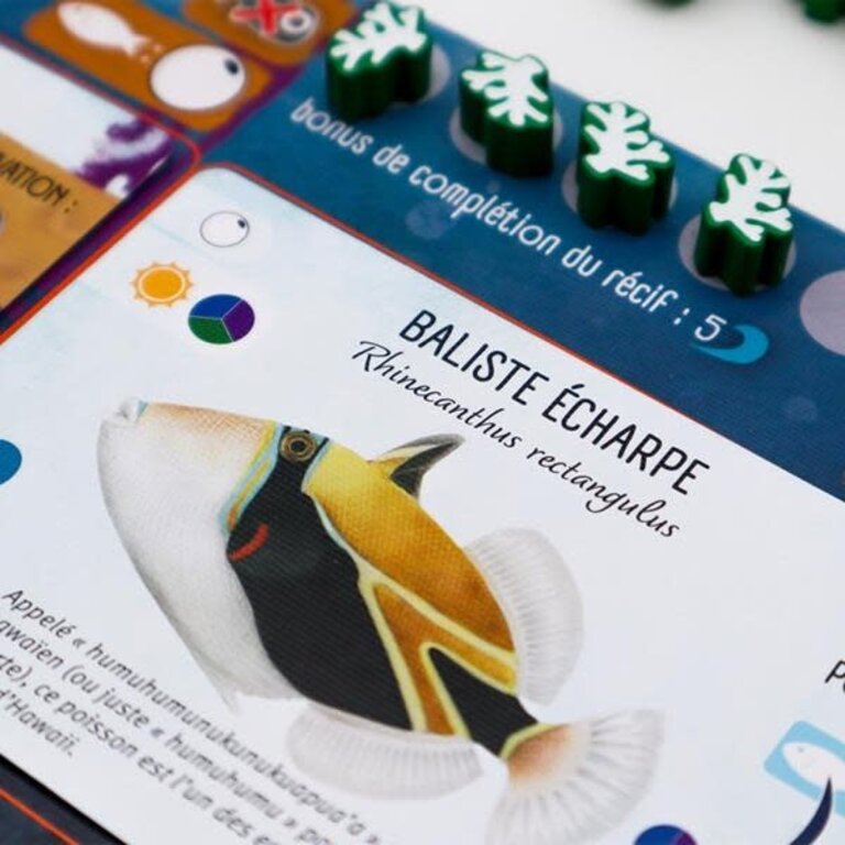 Finspan - Requins et récifs (French) [PREORDER]