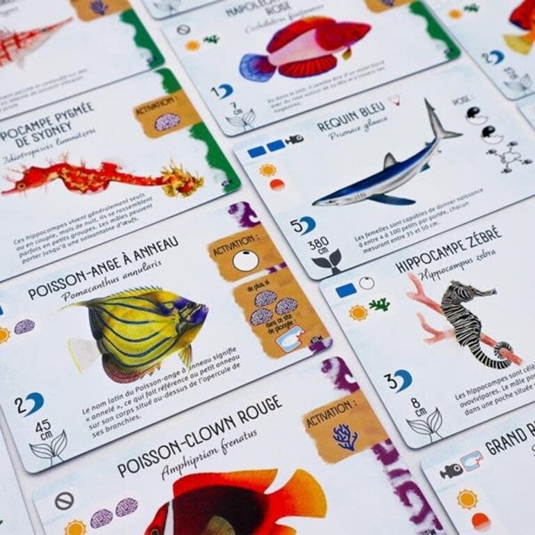 Finspan - Requins et récifs (Français) [PRÉCOMMANDE]