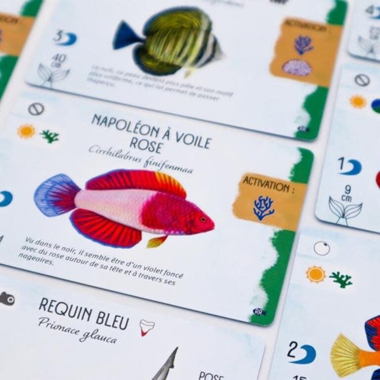 Finspan - Requins et récifs (French) [PREORDER]