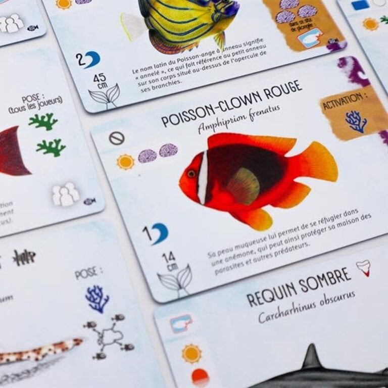 Finspan - Requins et récifs (Français) [PRÉCOMMANDE]