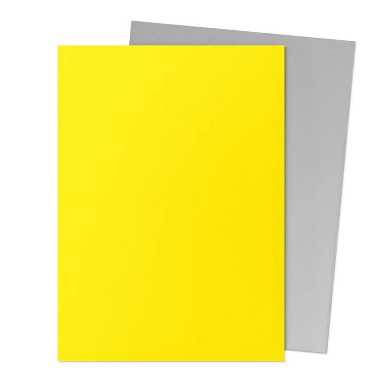 Dragon Shield (Dragon Shield) Matte Dual Sleeves - Yellow/Silver - 100 Unités - 63mm x 88mm