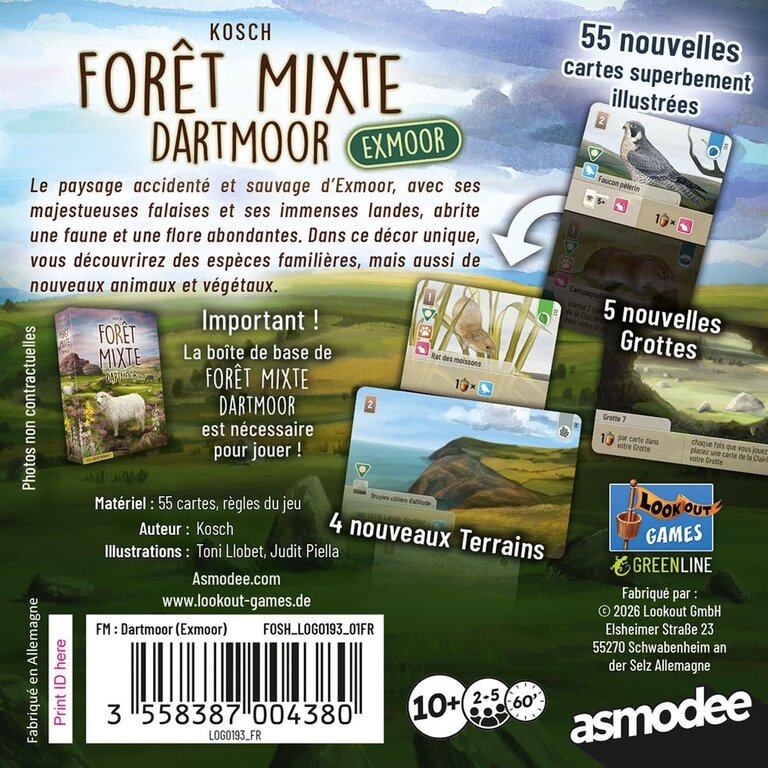 Forêt mixte - Dartmoor - Exmoor (Français)