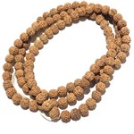 Natural RUDRAKSHA Seeds 108 Bead Strand 6mm