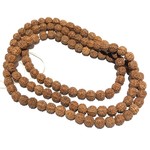 Natural RUDRAKSHA Seeds 108 Bead Strand 8mm