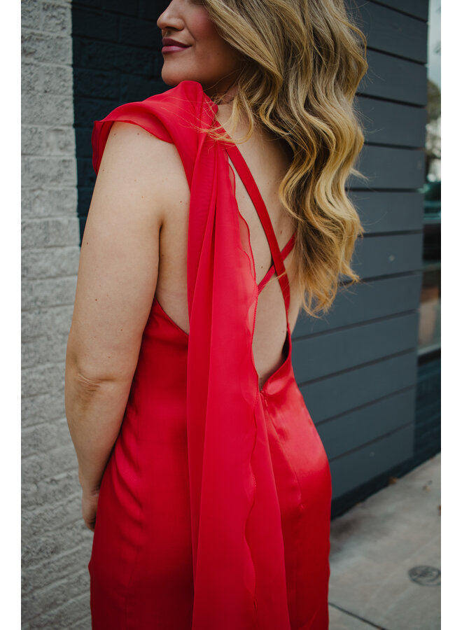 Carmen Gown - Size 6