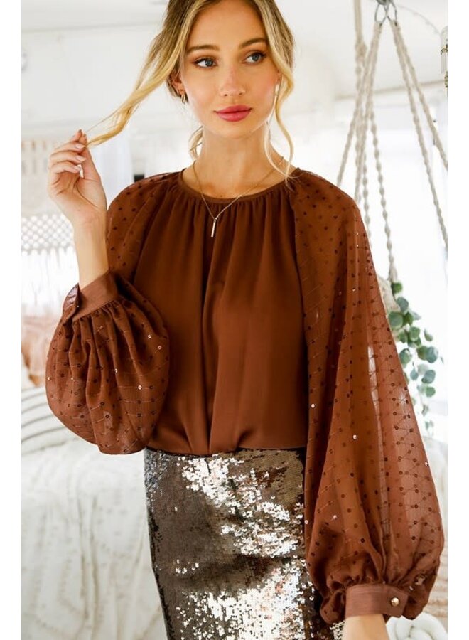 Sequin Long Sleeve Chiffon Blouse