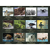 Gallery of Nature 2024 Wall Calendar