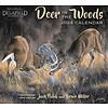 Deer in the Woods 2024 Wall Calendar