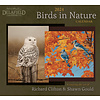 Birds in Nature 2024 Wall Calendar