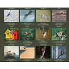 Art of Nature Birds 2024 Wall Calendar