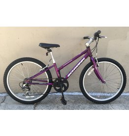 schwinn thrasher 24