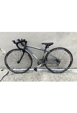 Raleigh Raleigh Cadent 1.0, 17 Inches, Gray