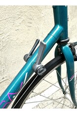 Raleigh Raleigh Technium Grand Prix, Vintage, Conversion, 22 Inches,  Sea Green