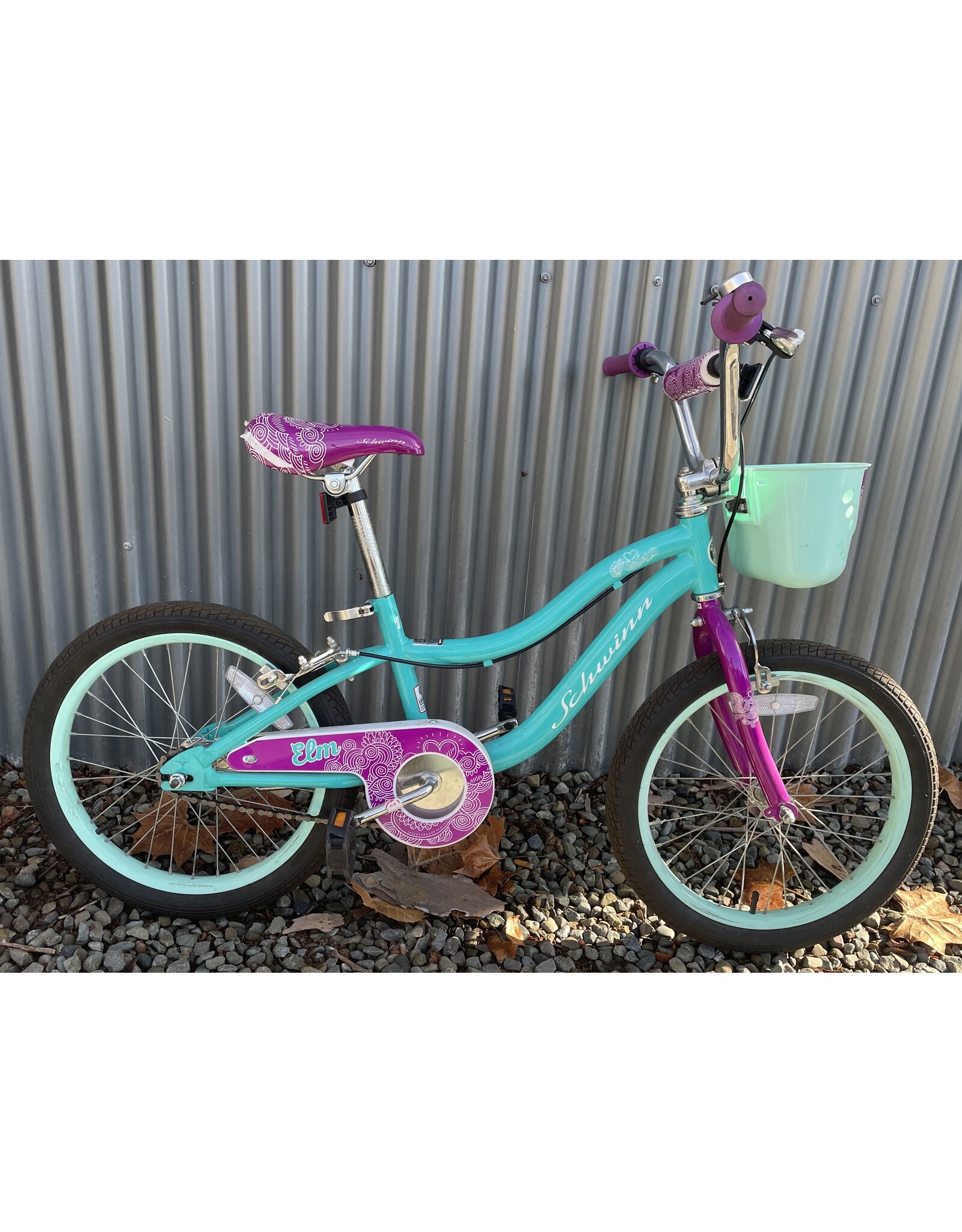 Schwinn Smart Start Kid, Blue-Green 48.26cm ,18Inches