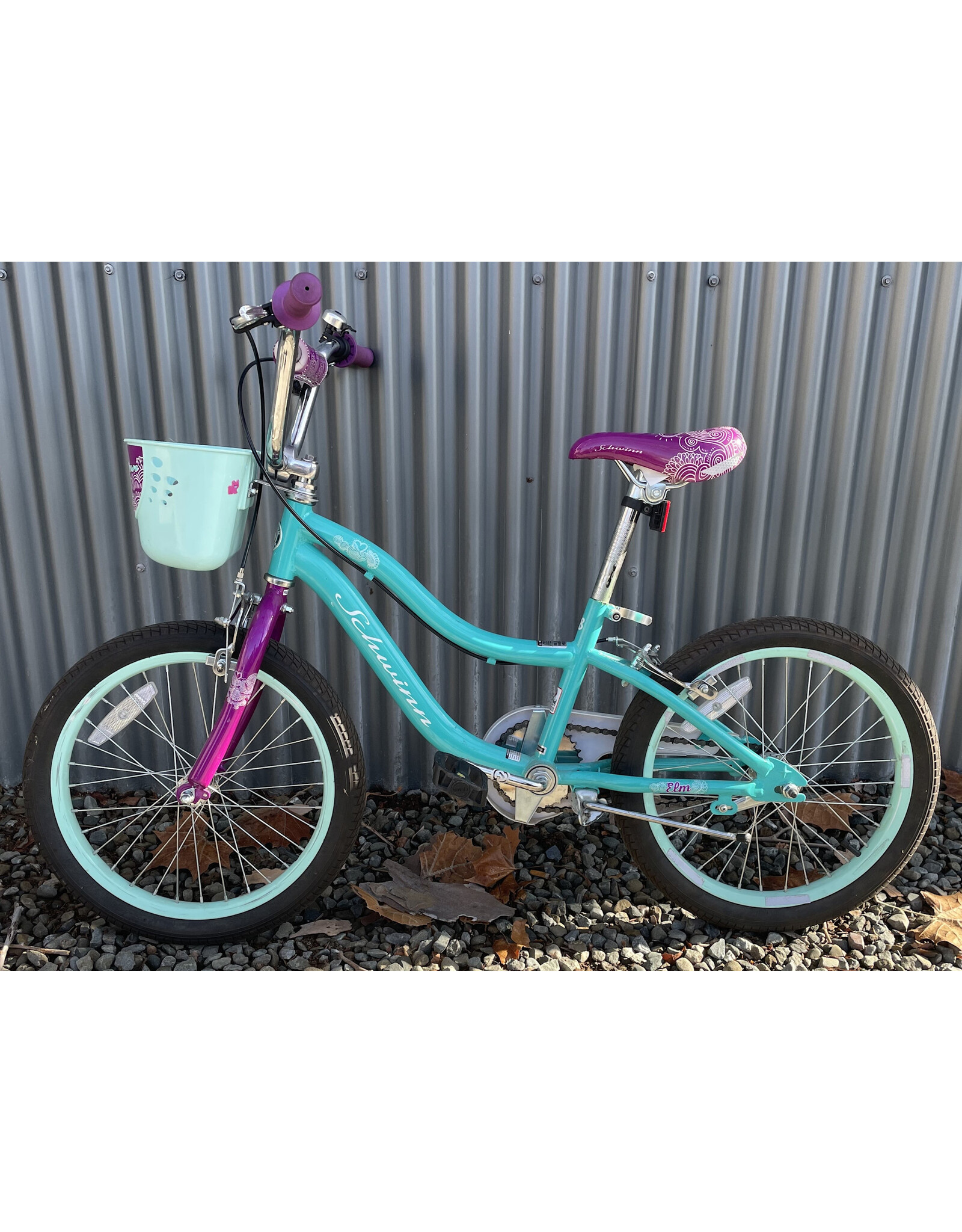 Schwinn Smart Start Kid, Blue-Green 48.26cm ,18Inches